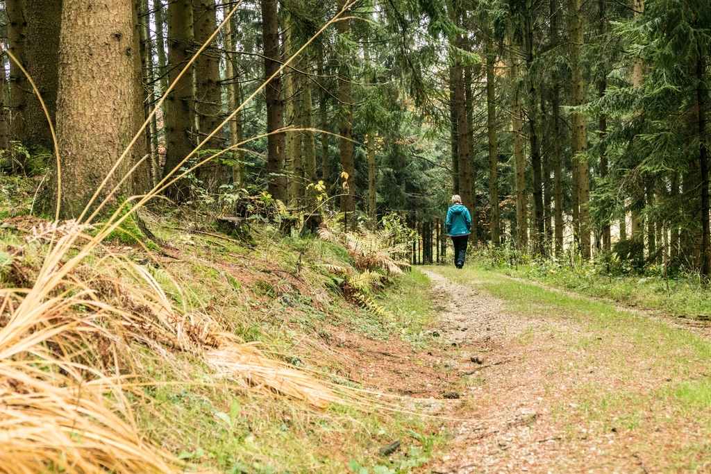 1.12 Come/go/frequent verbs – tulema/minema/käima tegusõnad